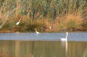 προστατευομενες περιοχές
