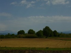 πολύδροσο Αρτας