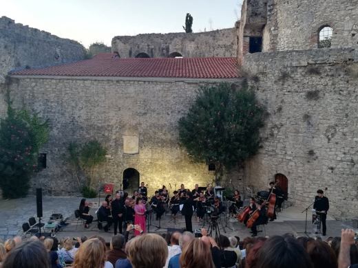 71338478_690200868144674_3458420894962024448_n