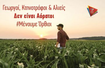 82891154_3299016576827518_4270892131700178944_o